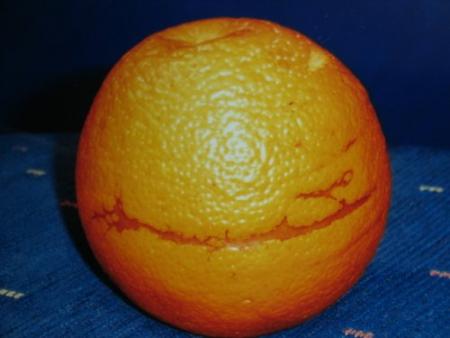 le nom de mouhamad rassoulou lah sala lah 3alayhi wasalam sur une orange.sobhana lah